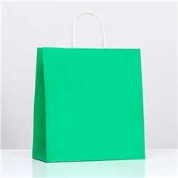 Пакет крафт «Радуга», зелёный, 25 х 12 х 27 см, 80 г/м2, 1 шт