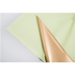 Плёнка матовая двухсторонняя 58х58 см, 10 листов (зеленый/золото)