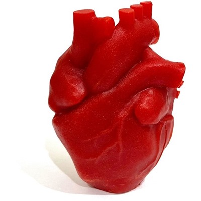 Силиконовая форма - 3D - Анатомическое сердце