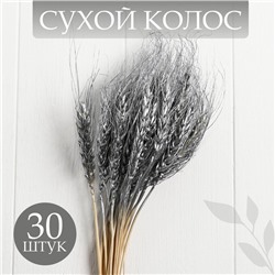 Сухой колос пшеницы, набор 30 шт., цвет серебряный
