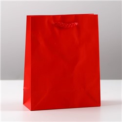 Пакет ламинированный «Красный», S 12 х 15 х 5,5 см
