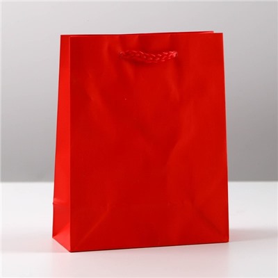 Пакет ламинированный «Красный», S 12 х 15 х 5,5 см