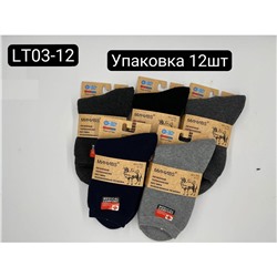 Мужские носки тёплые Мини LT03-12