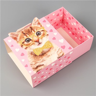 Коробка складная «Котик», 15 х 15 х 8 см