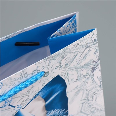 Пакет ламинированный вертикальный «Снежная история», ML 21 × 25 × 8 см