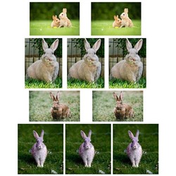 Набор водорастворимых картинок - Кролики №3