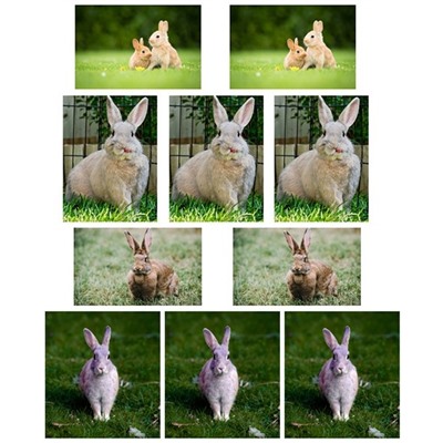 Набор водорастворимых картинок - Кролики №3
