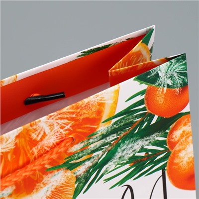 Пакет ламинированный горизонтальный «Цитрусовый коктель», MS 23 × 18 × 8 см
