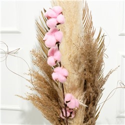 Декор сухоцвет "Хлопок" розовый d-5 см, 70 см