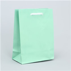 Пакет ламинированный «Зелёный», S 12 х 15 х 5,5 см