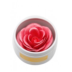 Rosel Cosmetics Пудра-румяна хайлайтер Glazed Rose 6g R041