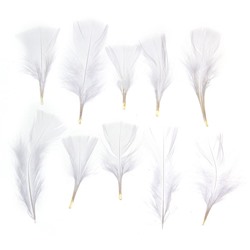 Набор перьев для декора 10 шт., размер 1 шт: 10 × 4 см, цвет белый