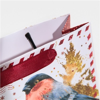 Пакет ламинированный горизонтальный «Новогодняя бандероль», 15 × 12 × 5,5 см