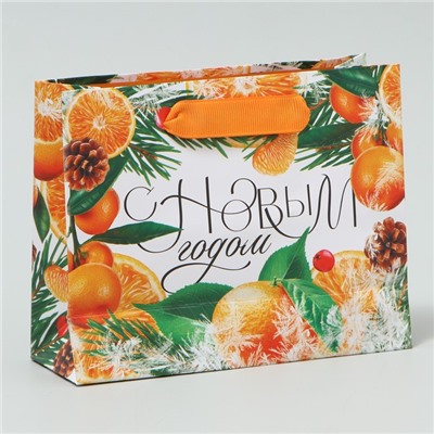 Пакет ламинированный горизонтальный «Новогоднее настроение», S 15 × 12 × 5.5 см