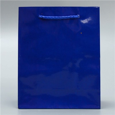 Пакет ламинированный «Синий», S 12 х 15 х 5,5 см