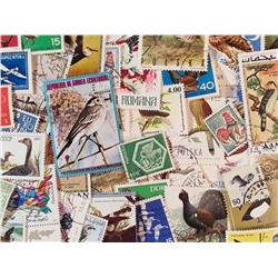 Набор различных марок, Птицы (50 шт.)