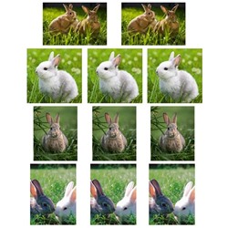 Набор водорастворимых картинок - Кролики №1