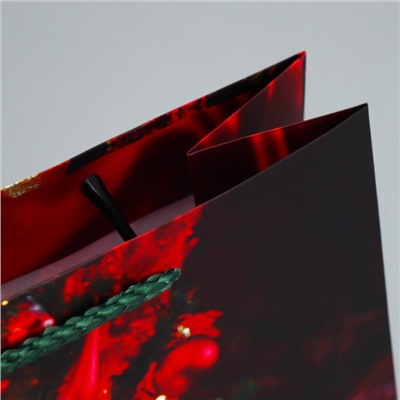 Пакет ламинированный вертикальный «Новогоднее настроение», ML 21 × 25 × 8 см