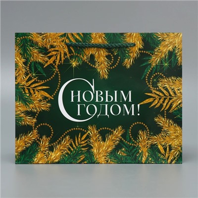 Пакет ламинированный горизонтальный «Изумруд», MS 23 × 18 × 8 см