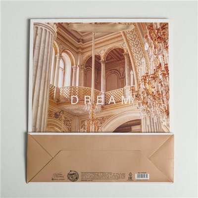 Пакет ламинированный вертикальный «Dream», M 26 × 30 × 9 см