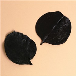 Сухие листья, набор 2 шт., размер 1 шт: 6,5 × 7 см