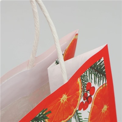 Пакет крафтовый «Новогоднее чудо», 22 × 25 × 12 см