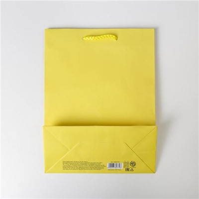 Пакет ламинированный «Жёлтый», MS 18 х 23 х 8 см