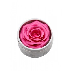 Rosel Cosmetics Пудра-румяна хайлайтер Glazed Rose 6g R040