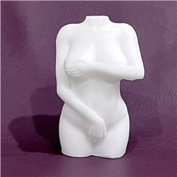 Силиконовая форма - 3D - Женский бюст 1