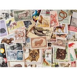 Набор различных марок, Наземные животные (50 шт.)