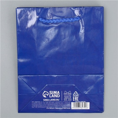 Пакет ламинированный «Синий», S 12 х 15 х 5,5 см