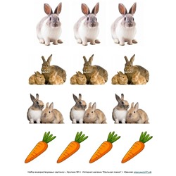 Набор водорастворимых картинок - Кролики №4