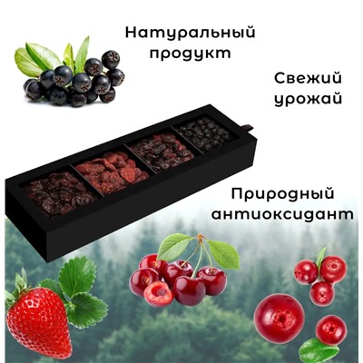 Набор подарочный PREMIUM "Коллекция ягод" (клюква, клубника, вишня, арония), 260 г / Сибирская ягода