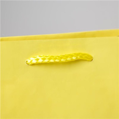 Пакет ламинированный «Жёлтый», MS 18 х 23 х 8 см