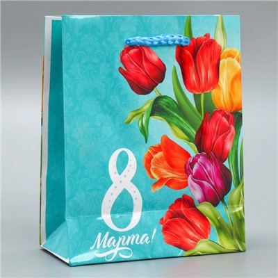 Пакет ламинированный вертикальный «Тюльпаны», S 12 × 15 × 5,5 см