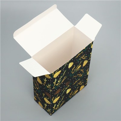 Коробка складная «Шишки», 16 × 23 × 7.5 см
