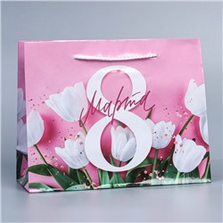 Пакет ламинированный горизонтальный «Тюльпаны», MS 18 × 23 × 8 см