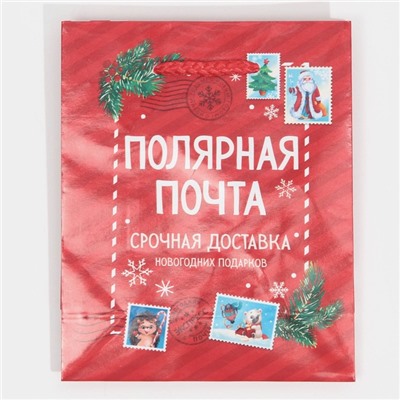 Пакет ламинированный вертикальный «Полярная почта», S 11,5 × 14,5 × 5,5 см