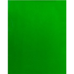 Неоновый пигмент - Зеленый 50 гр
