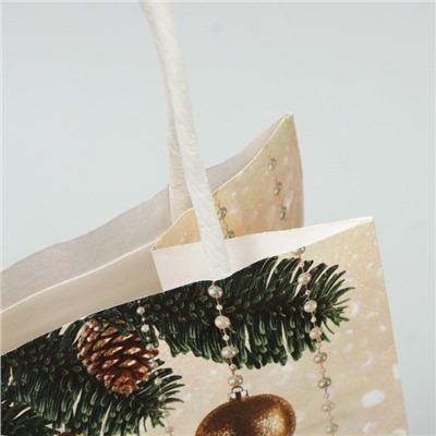 Пакет крафтовый «Новый год», 12 × 21 × 9 см