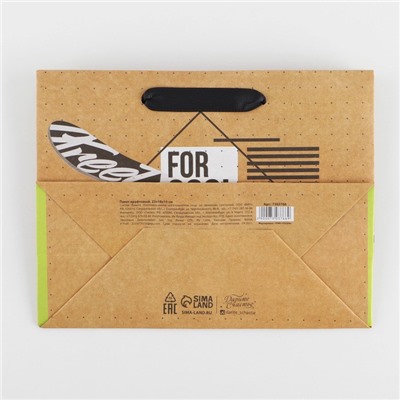 Пакет крафтовый горизонтальный «For cool man», MS 23 × 18 × 8 см