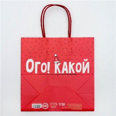 Пакет подарочный «Ого! Какой подарок», 22 × 22 × 11 см