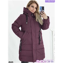 Женская Куртка Зима Наполнитель холлофайбер в размер