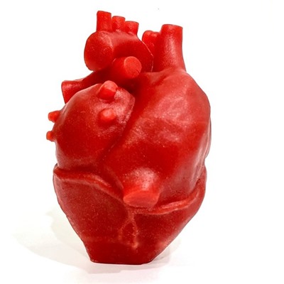 Силиконовая форма - 3D - Анатомическое сердце