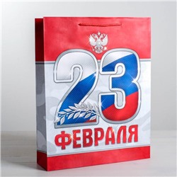 Пакет ламинированный вертикальный «23 февраля!», S 12 × 15 × 5,5 см