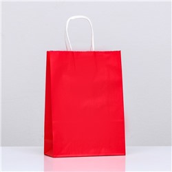Пакет крафт «Радуга», красный, 18 х 8 х 25 см, 80 г/м2, 1 шт