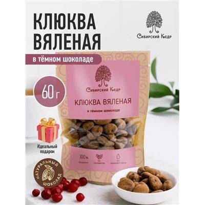 Клюква вяленая в темном шоколаде / 60 г / дой-пак / Сибирский кедр